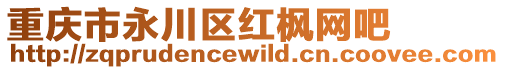重慶市永川區(qū)紅楓網(wǎng)吧