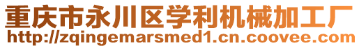 重慶市永川區(qū)學利機械加工廠