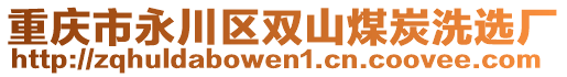 重慶市永川區(qū)雙山煤炭洗選廠