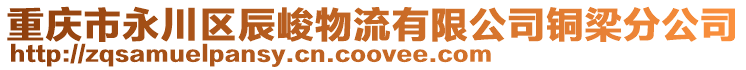 重慶市永川區(qū)辰峻物流有限公司銅梁分公司