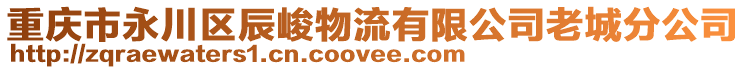 重慶市永川區辰峻物流有限公司老城分公司