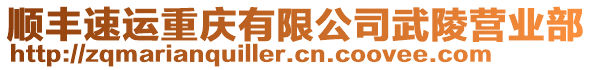 順豐速運重慶有限公司武陵營業部