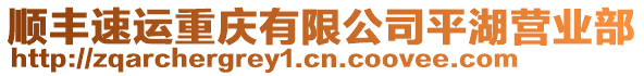 順豐速運重慶有限公司平湖營業部