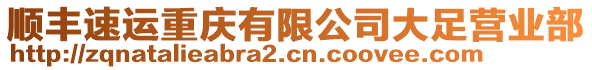 順豐速運重慶有限公司大足營業部