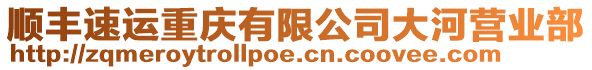 順豐速運(yùn)重慶有限公司大河營(yíng)業(yè)部