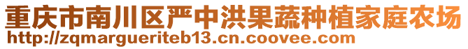 重慶市南川區(qū)嚴(yán)中洪果蔬種植家庭農(nóng)場