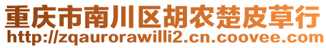 重慶市南川區(qū)胡農(nóng)楚皮草行