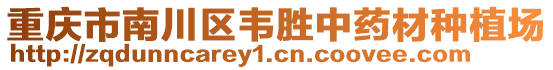 重慶市南川區(qū)韋勝中藥材種植場