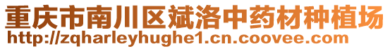 重慶市南川區(qū)斌洛中藥材種植場