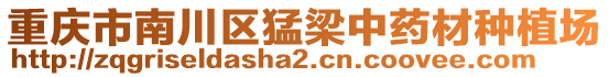 重慶市南川區(qū)猛梁中藥材種植場