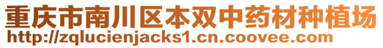 重慶市南川區本雙中藥材種植場