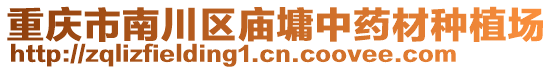 重慶市南川區(qū)廟墉中藥材種植場