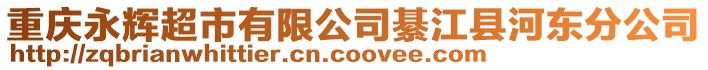 重慶永輝超市有限公司綦江縣河?xùn)|分公司