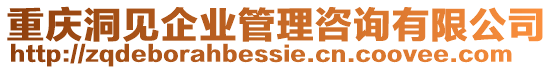 重慶洞見企業(yè)管理咨詢有限公司