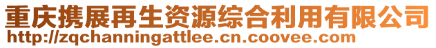 重慶攜展再生資源綜合利用有限公司