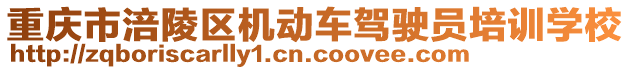 重慶市涪陵區(qū)機動車駕駛員培訓學校