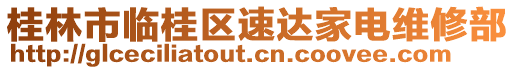 桂林市臨桂區速達家電維修部