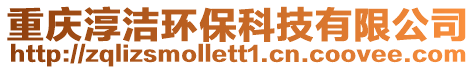 重慶淳潔環(huán)保科技有限公司