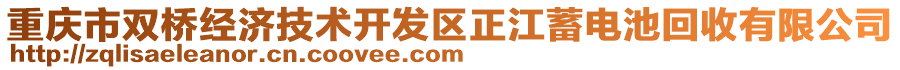 重庆市双桥经济技术开发区正江蓄电池回收有限公司