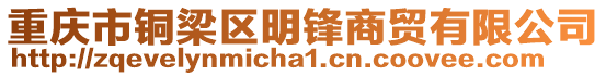 重慶市銅梁區明鋒商貿有限公司