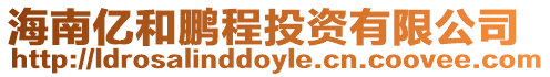 海南億和鵬程投資有限公司