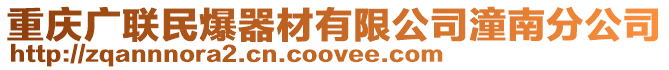重慶廣聯民爆器材有限公司潼南分公司