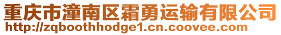 重慶市潼南區霜勇運輸有限公司