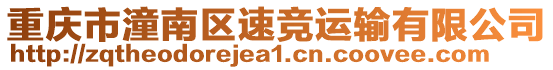 重慶市潼南區速競運輸有限公司