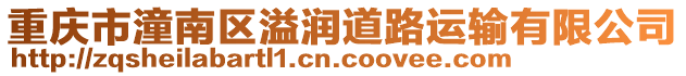 重慶市潼南區(qū)溢潤(rùn)道路運(yùn)輸有限公司