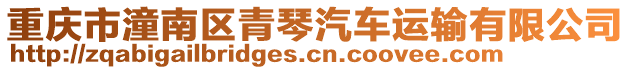 重慶市潼南區(qū)青琴汽車運輸有限公司