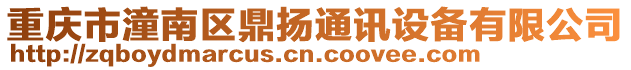 重慶市潼南區鼎揚通訊設備有限公司