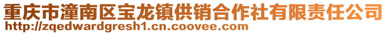 重慶市潼南區寶龍鎮供銷合作社有限責任公司