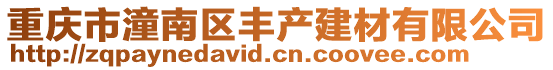重慶市潼南區豐產建材有限公司
