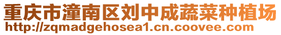 重慶市潼南區劉中成蔬菜種植場