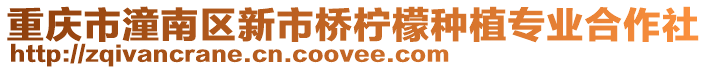 重慶市潼南區新市橋檸檬種植專業合作社