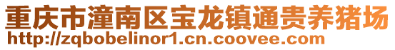 重慶市潼南區寶龍鎮通貴養豬場