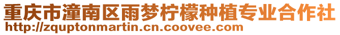 重慶市潼南區雨夢檸檬種植專業合作社