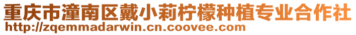 重慶市潼南區戴小莉檸檬種植專業合作社