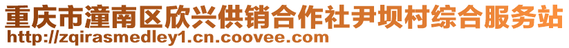 重慶市潼南區(qū)欣興供銷(xiāo)合作社尹壩村綜合服務(wù)站