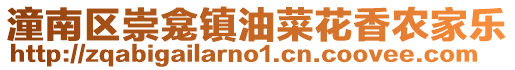 潼南區崇龕鎮油菜花香農家樂