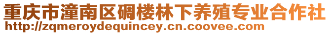 重慶市潼南區(qū)碉樓林下養(yǎng)殖專業(yè)合作社