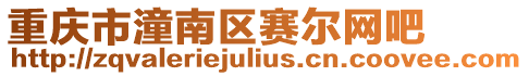重慶市潼南區賽爾網吧
