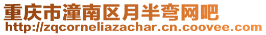 重慶市潼南區月半彎網吧