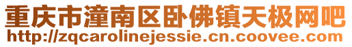 重慶市潼南區臥佛鎮天極網吧