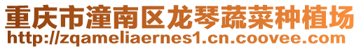 重慶市潼南區龍琴蔬菜種植場