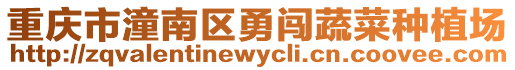 重慶市潼南區(qū)勇闖蔬菜種植場