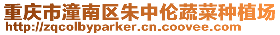 重慶市潼南區朱中倫蔬菜種植場