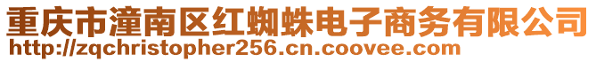 重慶市潼南區(qū)紅蜘蛛電子商務有限公司