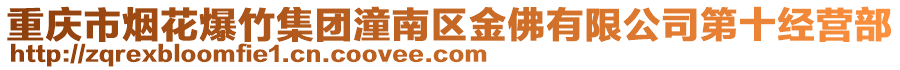 重慶市煙花爆竹集團(tuán)潼南區(qū)金佛有限公司第十經(jīng)營(yíng)部