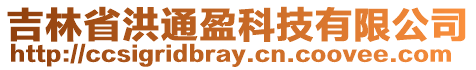 吉林省洪通盈科技有限公司